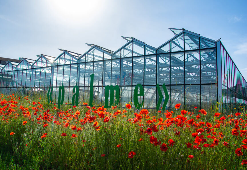 Gärtnerei Aussen mit Mohn